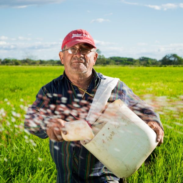 countryside-farm-farmer-50715.jpg